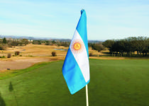 Ver articulo